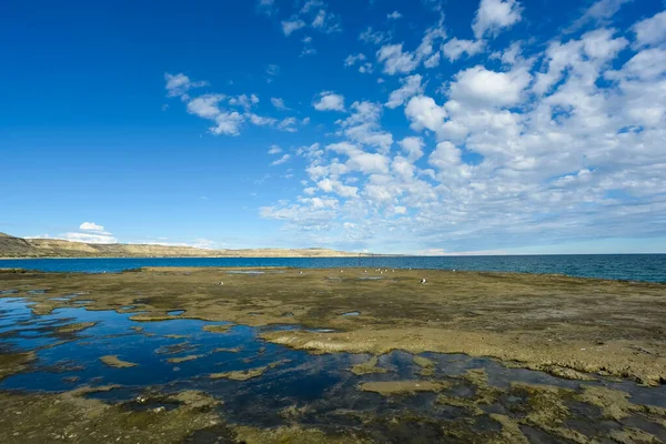 Paisagem Costeira Com Falésias Península Valdes Patrimônio Mundial Patagônia Argentina — Fotografia de Stock