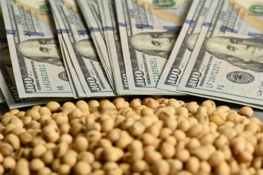 Dolar banknotları, madeni paralar ve soya fasulyeleri, oleaginöz meta değeri kavramı..