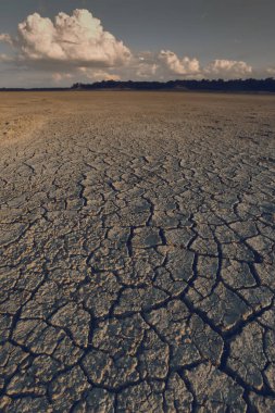 La Pampa, Patagonya, Arjantin 'deki bir Pampas gölünde parçalanmış kuru toprak..