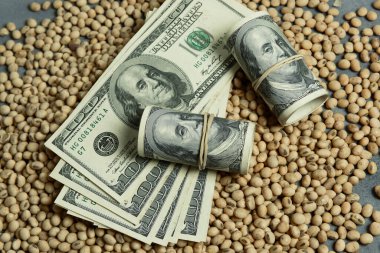Dolar banknotları, madeni paralar ve soya fasulyeleri, oleaginöz meta değeri kavramı..