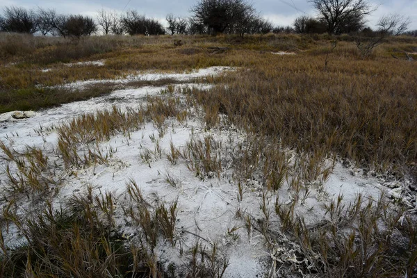 Salitre Chão Uma Lagoa Ambiente Semi Deserto Província Pampa Patagônia — Fotografia de Stock