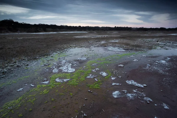 Salitre Chão Uma Lagoa Ambiente Semi Deserto Província Pampa Patagônia — Fotografia de Stock