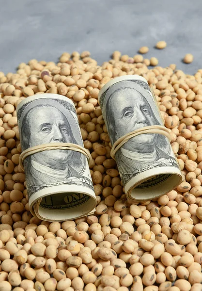Dollars Banknotes Coins Soy Beans Oleaginous Commoditi Value Concept — Stock Photo, Image
