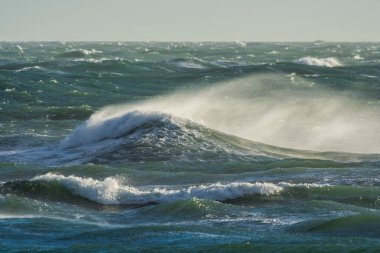 Stormy Sea with Strong Waves in Peninsula Valds, Patagonia.