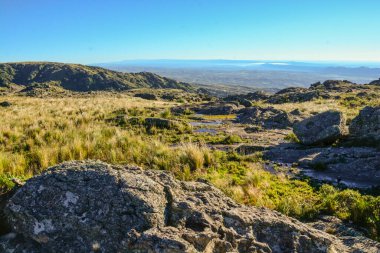 Pampa de Achala 'daki Highland çayır ekosistemi Quebrada del Condorito Ulusal Parkı, Crdoba, Arjantin. Yerli bitki örtüsü ve dağ biyolojik çeşitliliği.