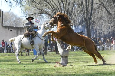 Macachin, La Pampa, Arjantin, 09-03-2018, kırsal kesimdeki geleneksel Arjantin rodeo festivali sırasında Gaucho 'nun yükselen bir atı evcilleştirmesi.