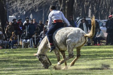 Macachin, La Pampa, Arjantin, 09-03-2018, kırsal kesimdeki geleneksel Arjantin rodeo festivali sırasında Gaucho 'nun yükselen bir atı evcilleştirmesi.