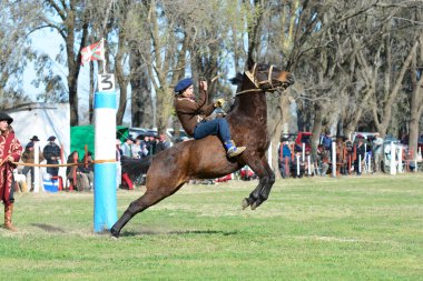 Macachin, La Pampa, Arjantin, 09-03-2018, kırsal kesimdeki geleneksel Arjantin rodeo festivali sırasında Gaucho 'nun yükselen bir atı evcilleştirmesi.