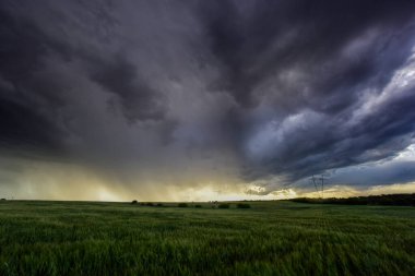 Pampas Ovalarının Üzerinde Fırtına Bulutları, La Pampa Arjantin Kırsal Arazisi