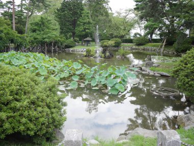 Nilüfer yapraklı, merkezi çeşmeli ve zincirle çevrili bulutları yansıtan sakin bir Japon bahçe göleti.. 