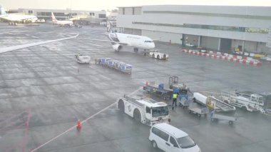 Auckland, Yeni Zelanda, 1 Ocak 2025. Park halindeki uçak, taksi pisti ve yer araçlarıyla aktif bir havaalanı manzarası.