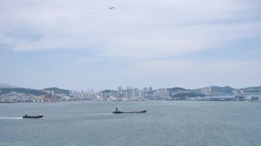 Kore, 1 Ocak 2025, geniş bir çekim Busan Limanı 'na yaklaşan büyük bir yolcu gemisi gösteriyor, sakin suları, liman tesisleri ve Busan, Güney ufuk çizgisi 