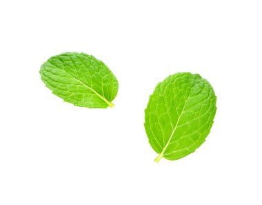 Beyaz arka planda izole edilmiş taze nane. Üst görünüm