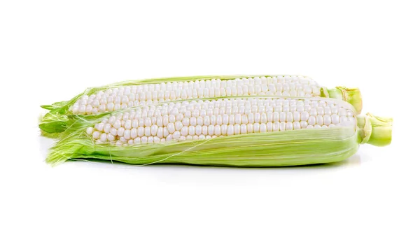 Weißer Mais Isoliert Auf Weißem Hintergrund — Stockfoto