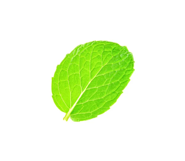 Fresh Mint Isolated White Background Top View — Stock Photo, Image