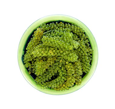 Beyaz sırt grubunda deniz yosunu (yeşil havyar).