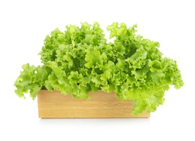 Salata yaprağı. Beyaz arkaplanda marul izole.