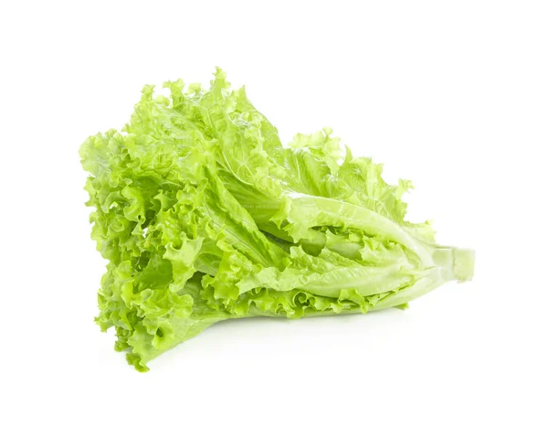 Hoja Ensalada Lechuga Aislada Sobre Fondo Blanco — Foto de Stock