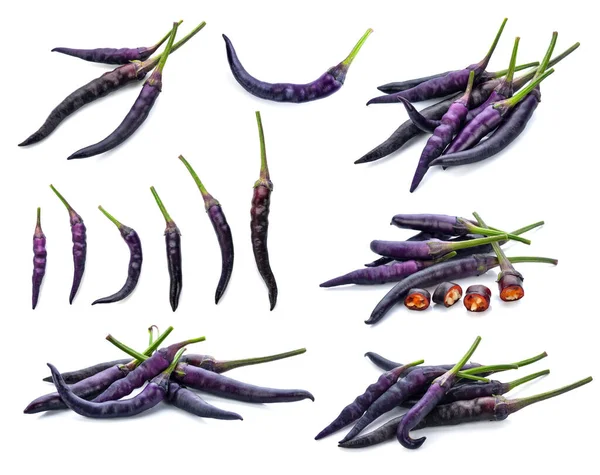 Фиолетовый Чили Белом Фоне — стоковое фото