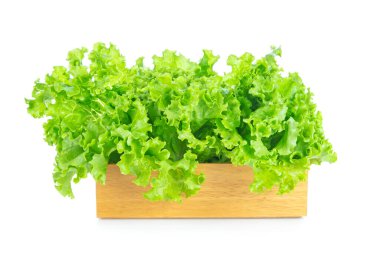 Salata yaprağı. Beyaz arkaplanda marul izole.