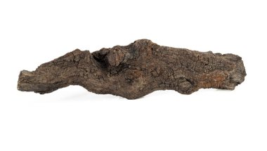 Beyaz arkaplanda izole edilmiş kuru ağaç dalları