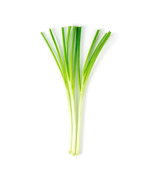 Fresh Healthy Organic Green Vegetable Garlic Chives Chinese Chive Sliced — Stock Photo, Image
