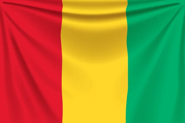 Zpět vlajky Guineje — Stockový vektor