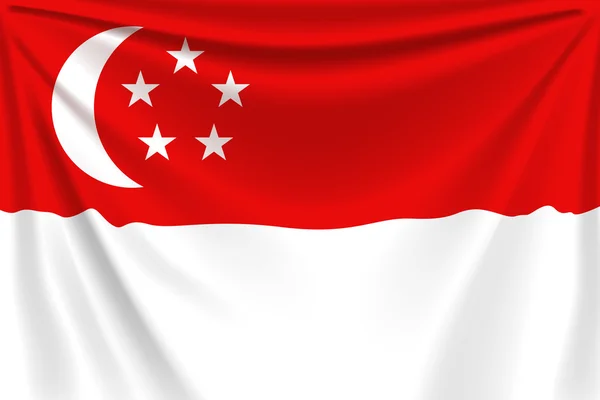 背中の旗シンガポール — ストックベクタ