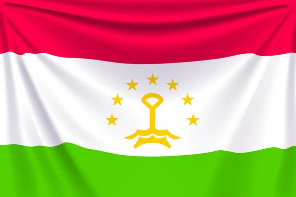 Bandeira traseira tajiquistão — Vetor de Stock