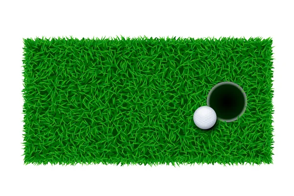 골프 녹색 잔디 — 스톡 벡터