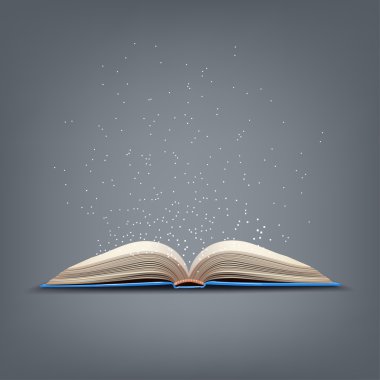 Açık mavi kitap