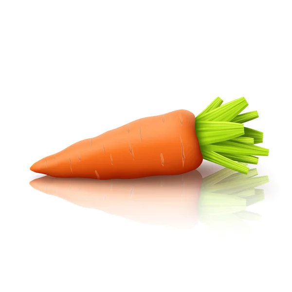 Zanahoria sobre blanco — Vector de stock