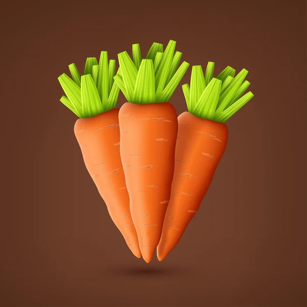 Trois carottes sur fond brun — Image vectorielle