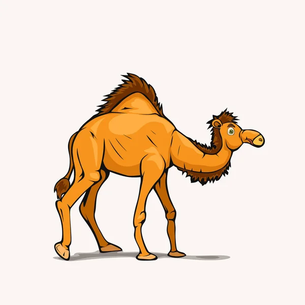 卡通式阿拉伯骆驼背白色 — 图库矢量图片