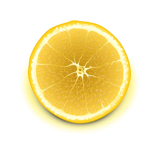 Limon — Stok Vektör