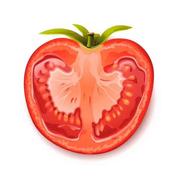 Tomato opened — Stock Vector