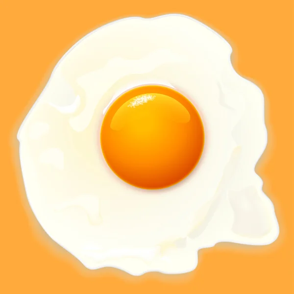 Egg on orange — Stock Vector