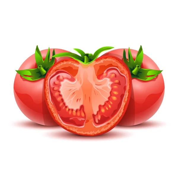 토마토 12 — 스톡 벡터