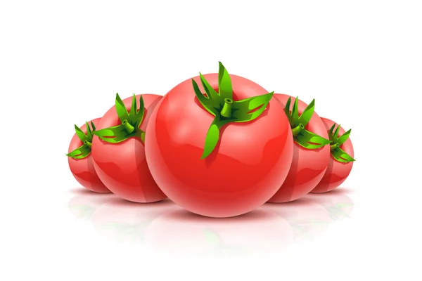 Tomatos 9 — Stock Vector