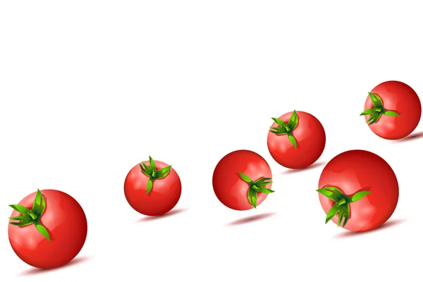 Tomatos 13 - Stok Vektor