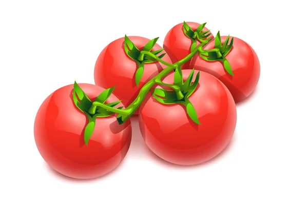 Tomatos 17 — Stock Vector