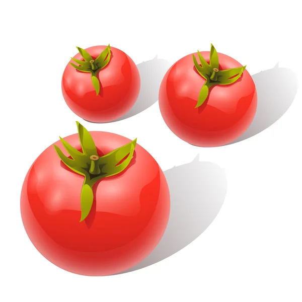 Tomatos 1 - Stok Vektor