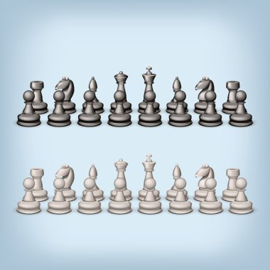 satranç takımı 
