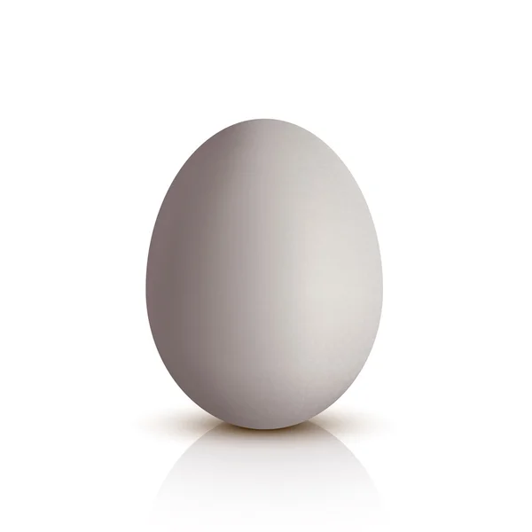 Egg on white — Stock Vector