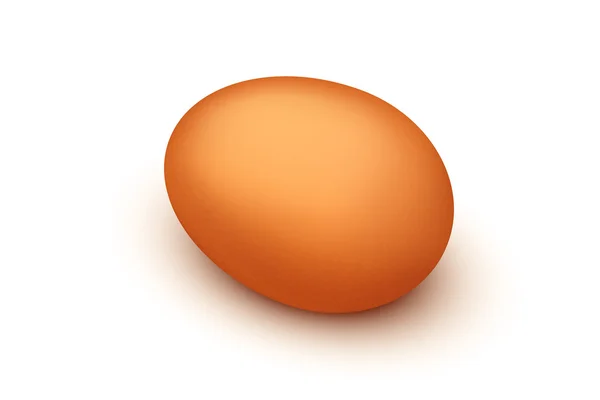 Imagen de huevo marrón — Vector de stock