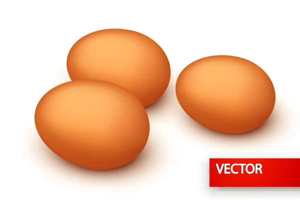 Groupe d'œufs — Image vectorielle