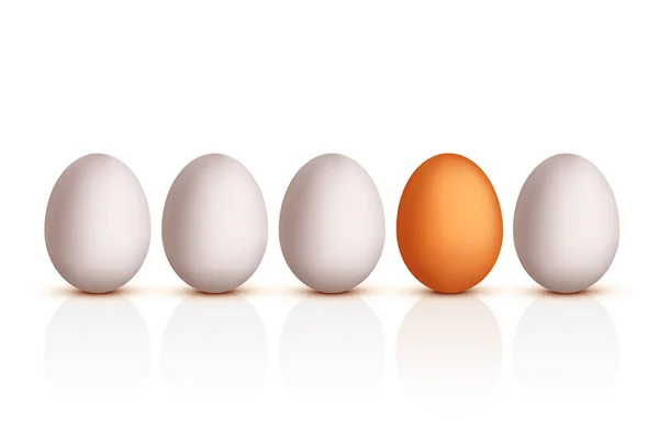 Imagem do conjunto de ovos —  Vetores de Stock