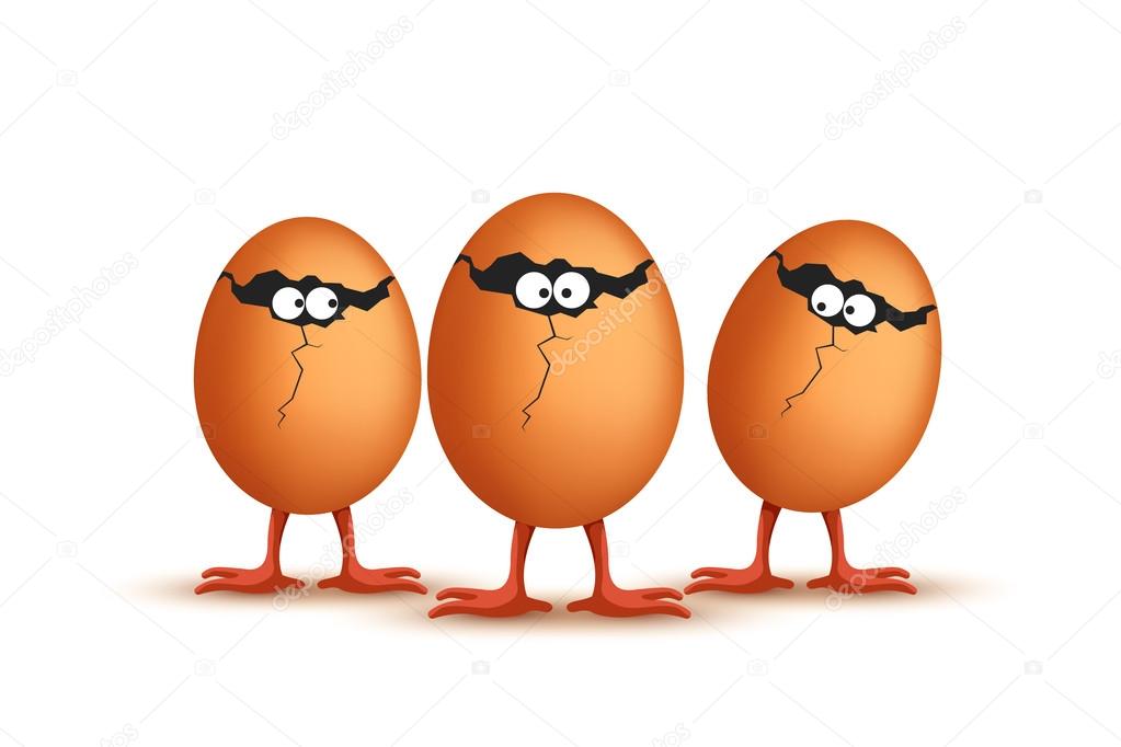 picture of egg team