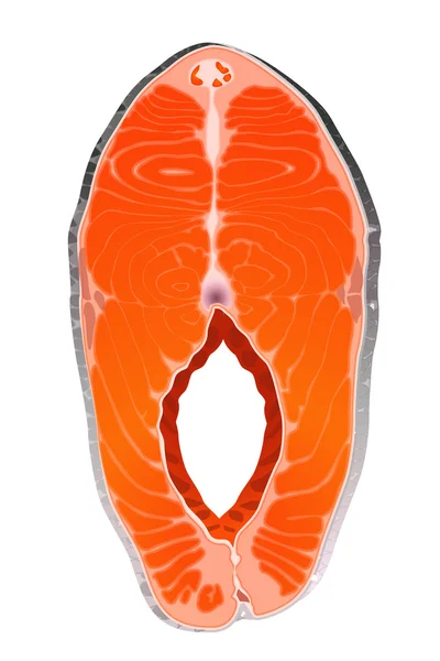 Afbeelding van vis segment — Stockvector