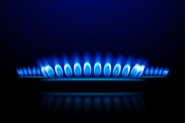 gas5 resmi